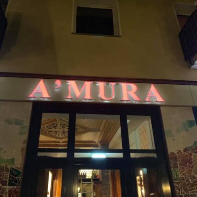 Amura Hannover 11